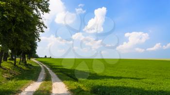 country landscape - green lucerne field with country road near village L'Epine Marne in sunny summer day in Champagne region of France