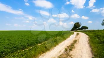 country landscape - country road along green lucerne field near village L'Epine Marne in sunny summer day in Champagne region of France