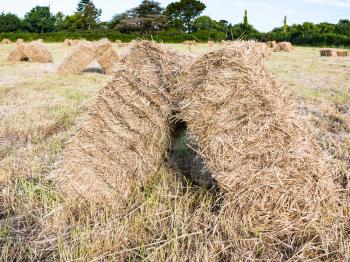 travel to France - haystacks on harvested field in Ploubazlanec commune of Paimpol region in Cotes-d'Armor department of Brittany in summer sunny sunset