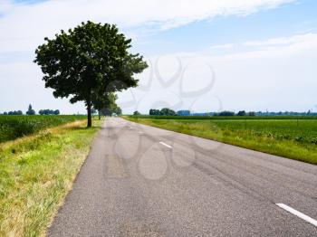 travel to France - country road route D468 near Colmar town in Alsace region in summer day
