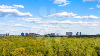 above view of green forest of Timiryazevsky park in Moscow city in sunny summer day