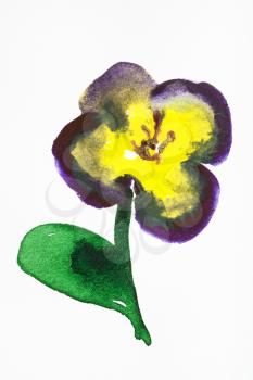 training drawing in suibokuga sumi-e style with watercolor paints - pansy flower hand painted on white paper