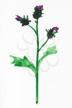 training drawing in suibokuga sumi-e style with watercolor paints - thistle flowers hand painted on white paper