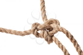 knot of Running bowline loop close up on thick jute rope isolated on white background