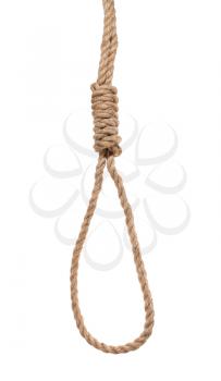 hangman's noose from thick jute rope isolated on white ba