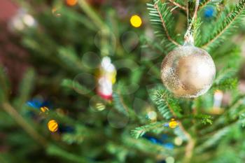 glass ornaments on twigs of live Christmas Tree at home indoor