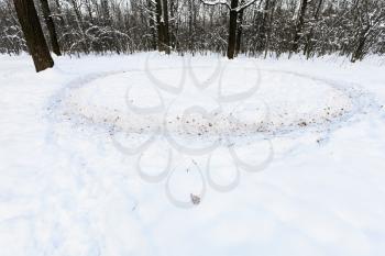 circle path trodden in the snow on meadow in oak grove in winter twilight