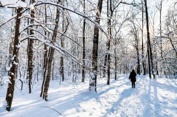 woman at snowy path in Timiryazevskiy park of Moscow city in sunny winter day