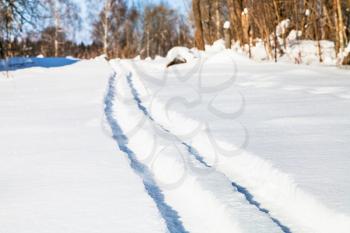 ski track to forest on snow field in sunny winter day in Smolensk region of Russia