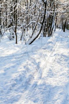 ski track in snowy urban Timiryazevskiy park of Moscow city in sunny winter day