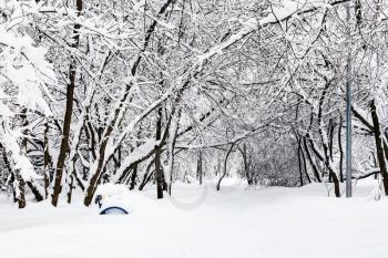 view of snow-covered public urban garden in Moscow city in winter snowfall