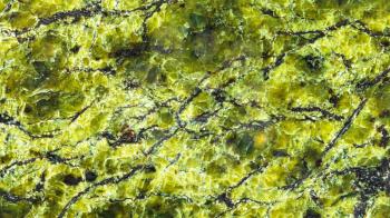 natural background from polished green serpentinite stone close up