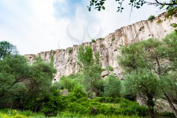 Travel to Turkey - overgrown gorge of Ihlara Valley in Aksaray Province in Cappadocia in spring