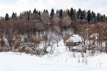 view of old rural houses at the edge of forest in russian village in cloudy winter dayl in Smolensk region of Russia