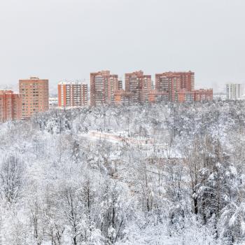 above view of urban Timiryazevskiy park and residential houses in Moscow city in winter evening