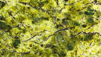 panoramic background from polished lizardite natural stone close up