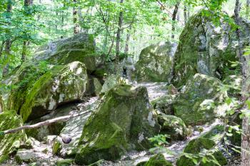 tour to Shapsugskaya anomalous zone - sandstone rocks in prehistoric Shambala quarry in Abinsk Foothills of Caucasus Mountains in Kuban region of Russia