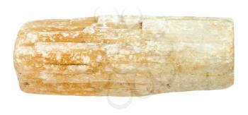macro shooting of natural mineral - rough Selenite (Gypsum) crystal isolated on white backgroung from Iren river in Perm Krai, Russia