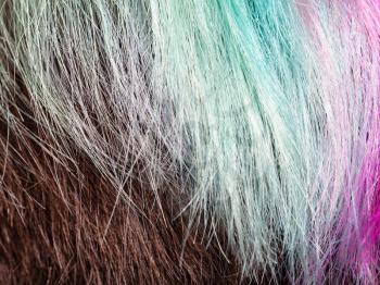 colored strands of female hairs close up