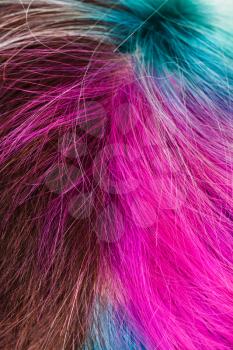 top view of female multicolored dyed hairs close up