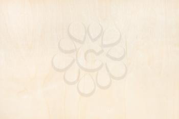 blank wooden background from natural birch plywood
