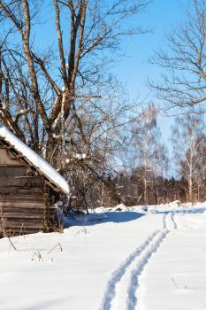 ski run to forest in little russian village in sunny winter day in Smolensk region of Russia