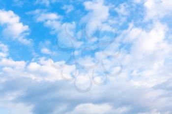 many white fluffy clouds in blue evening sky in summer in Kuban region of Russia