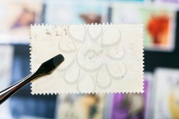 philately concept - tongs holds postage stamp with unused glue back side over stamp-album