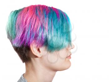 female profile with multi colored dyed hairs on white background