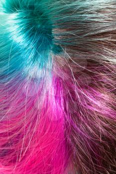 above view of parting of multicolored dyed hairs close up