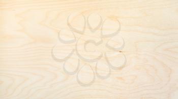 wooden panoramic background from natural birch board
