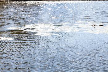 bright sun glitter on sutface of water in urban pond in sunny autumn day