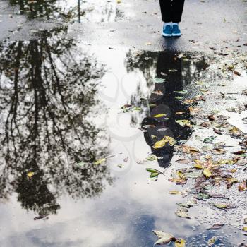 autumn cityscape - yellow leaves and teenager near rain puddle on urban road (focus on fallen leaves)