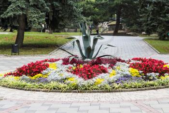travel to Caucasian Mineral Waters region - flowerbed on Lenin Square in Pyatigorsk city