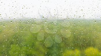 rain drops on window glass and blurred forest on background on rainy autumn day