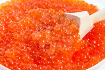 big wooden spoon in salted russian red caviar of pink salmon fish close-up in plastic container