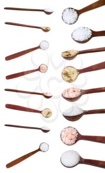 set from little dark brown wooden salt spoon with various salts isolated on white background