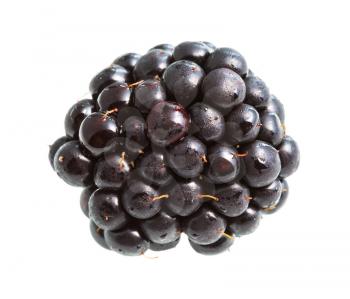 fresh blackberry isolated on white background