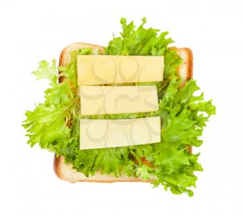 top view of open sandwich with toast and three slices of cheese and fresh green leaf lettuce isolated on white background