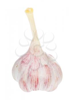 bulb of young fresh garlic isolated on white background