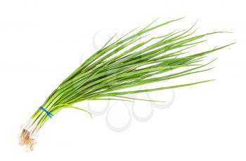 bunch of scallions (green onions) isolated on white background