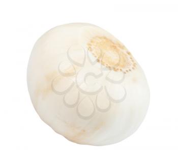 peeled bulb of chinese Solo garlic isolated on white background