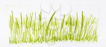training sketch of sun-bleached grass hand-drawn by pencil on white paper