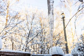 icicle and blurred snow-covered fence of village house and sunlit trees on background on cold winter day (focus on the icicle on foreground)