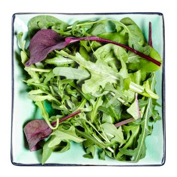 top view of mix of assorted small young salad greens on green square plate isolated on white background