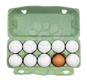 top view of ten different chicken eggs (nine white eggs and one brown) in green cardboard container isolated on white background