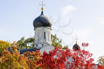 colorful autumn foliage and cupola of Church of the Conception of Saint Anne on background in Kitay-Gorod district of Moscow city on sunny September day (focus on leaves on foreground)