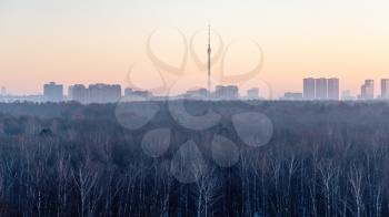 above view of bare trees in city park and residential district on horizon in Moscow city under pink dawn sky in cold winter morning