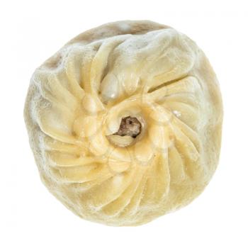 top view of single steamed Mongolian dumpling Buuz filled with minced beef meat isolated on white background