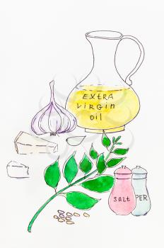 still life with ingredients for italian pesto sauce hand-drawn by belt felt-pen and watercolors on white paper